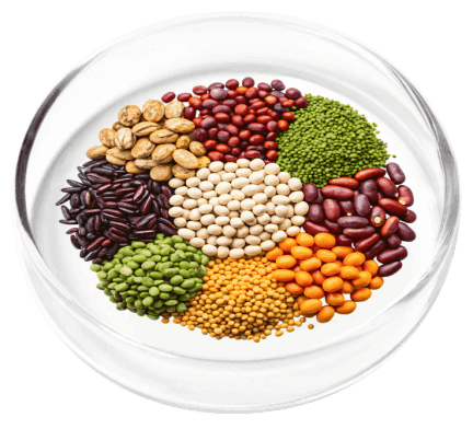VertiAid Ingredients