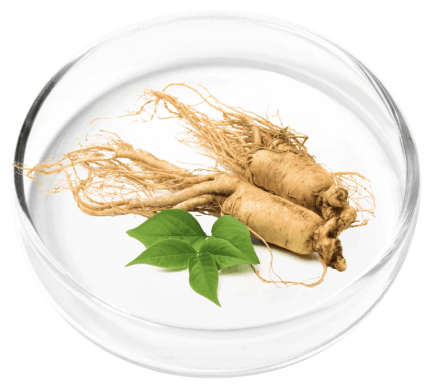 VertiAid Ingredients