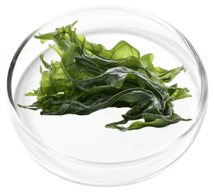 VertiAid Ingredients